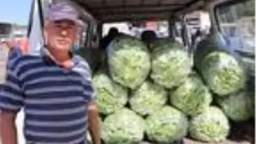 Burdur'da fasulye üreticisinin yüzü gülüyor