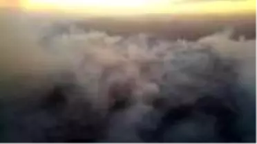 Manisa'daki orman yangını 21 saatte kontrol altına alındı; 50 hektar zarar gördü