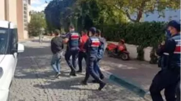 Son dakika... Bergama'daki orman yangının failleri tutuklandı