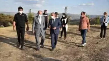 Vali Karadeniz yangın bölgesinde incelemelerde bulundu
