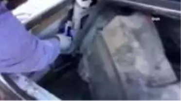 Yırtıcı kuş kaçakçıları suçüstü yakalandı