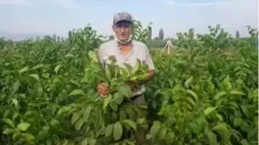 68 yaşında aldığı kurs hayatını değiştirdi, şimdi dünya ülkelerine pazarlıyor