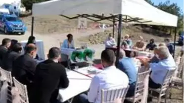 Kavak'ta can dostlar için örnek proje