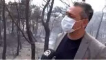 Son dakika: Hatay'daki orman yangını kontrol altına alınmaya çalışılıyor - Belen Belediye Başkanı İbrahim Gül