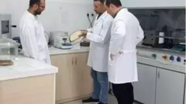 Bartın Üniversitesi'nin projesiyle ahşap 'opak' hale getirilecek