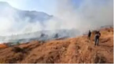 Son dakika haberleri: DHA YURT BÜLTENİ - 21