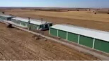 'Süt Sığırcılığı Eğitim Çiftliği' yıllık 6 ton karkas et üretecek