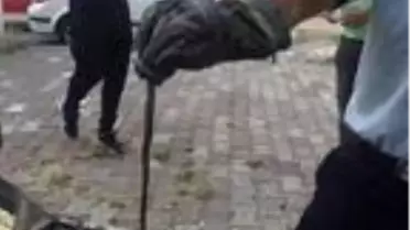 Otomobildeki yılan 2 saatte çıkarıldı