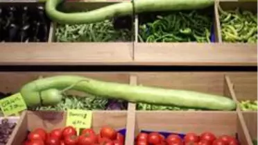 Bursa'da yetiştirilen 4 kilo 290 gramlık dev kabak görenleri şaşırtıyor