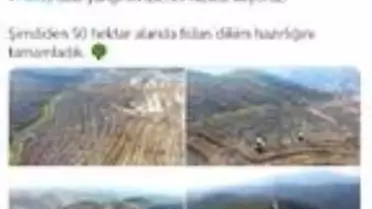 Son dakika haberi | Bakan Pakdemirli: Hatay'daki yangının izlerini hızlıca siliyoruz