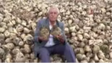Emekli öğretmen seferberlik ilan etti, pancar köyün geçim kaynağı oldu