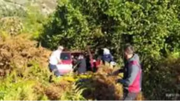 Türkeli'de otomobil şarampole yuvarlandı: 4 yaralı