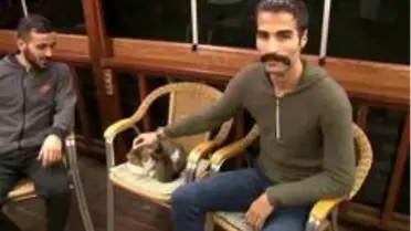 Bağcılar'daki kedi saldırısının görgü tanıkları konuştu