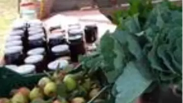 Ordu'nun 14 yıllık organik ürün pazarına ilgi arttı