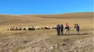 Son dakika haberi: Damal'da kayıp hayvanlar drone ile bulundu