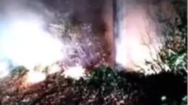 Son dakika 3. sayfa: Ordu'da ormanlık alanda yangın