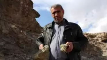 Ağrı'nın Mollakara köyünde bulunan altın rezervi yüzlerce kişiye iş kapısı olacak