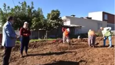 Çan Belediyesi 20 bin salep fidesini toprakla buluşturuyor