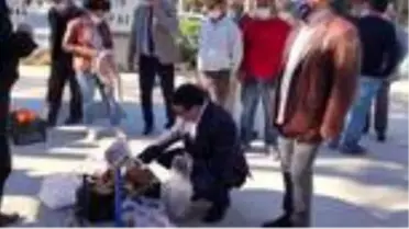Datça'da 'Gıdanı koru, sofrana sahip çık' etkinliği yapıldı