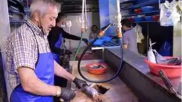 Pandemi dönemi siparişle balık satın alma talebini arttırdı
