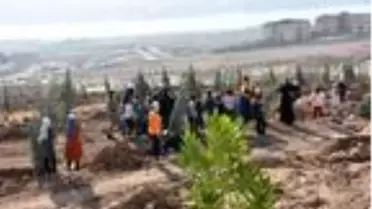 Batman'da 14 bin fidan toprakla buluşturuldu