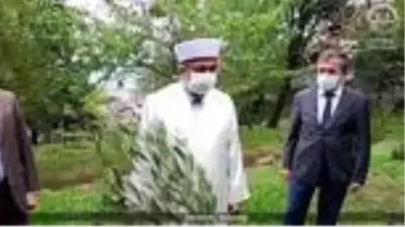 Beyoğlu'ndan tüm İstanbul'a yayılan 'Zeytin Ağacı Dikme' kampanyası
