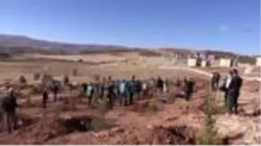 Doğu Anadolu'da fidanlar toprakla buluştu