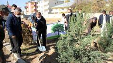Malazgirt'te fidan dikimi
