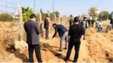Roketlerin düştüğü topraklar fidanla buluştu