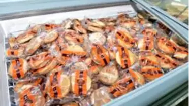 Kepez'de glütensiz ekmek üretimi için tesis yapılacak