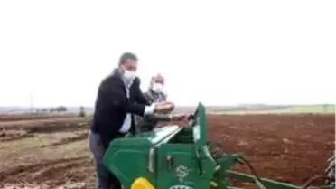 Büyükşehir sertifikalı tohum üretimine devam ediyor