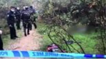 Ormanlık alanda erkek cesedi bulundu