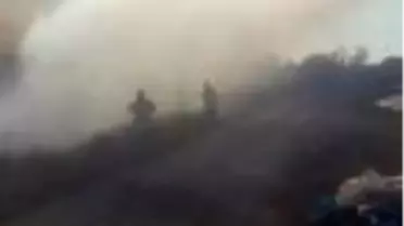 Ayvalık'ta sazlık alanda yangın
