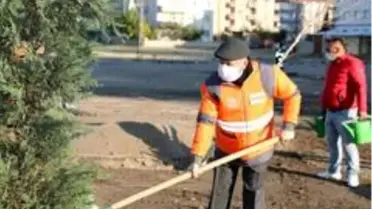 Kocasinan Belediyesinde ağaçlandırma çalışmaları