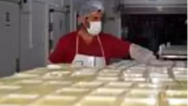 Muş'tan ülkenin dört bir yanına süt ve süt ürünleri gönderiliyor