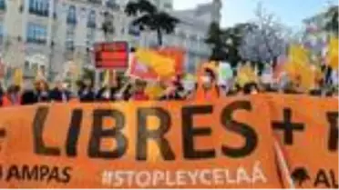 İspanyolcayı ana dil olmaktan çıkaran eğitim reformu İspanya'yı ikiye böldü