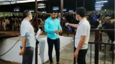 Hayvan Pazarları hafta sonu açık olacak