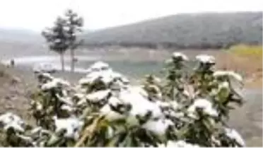 Kar yağışı ve sis sonbahar renkleriyle güzel görüntüler oluşturdu