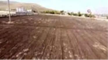 Doğu Anadolu Bölgesi'nin en büyük lavanta bahçesi Elazığ'da kuruldu