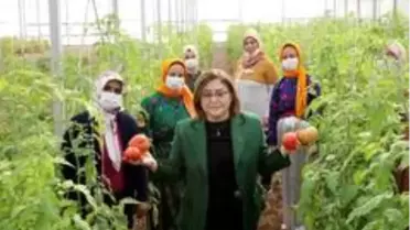 Gaziantep'te şifa paketi ile halka sağlık esnafa destek sağlanacak