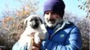 Adriana Lima'ya Sivas'tan 3'üncü 'Kangal köpeği' çağrısı