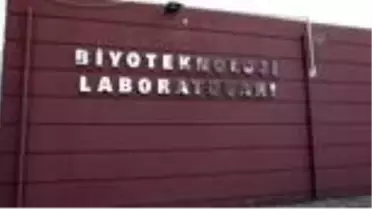 GÜZELYURT - TİKA, KKTC'deki fidan üretim istasyonlarını modernize etti