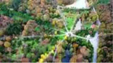 İstanbul'da sonbaharın renkleri Atatürk Arboretumu'nda