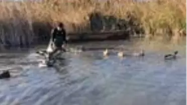 Kayığını gizleyip kaçan kaçak avcıya 13 bin lira para cezası