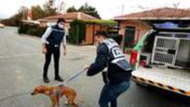 Hayvanlara yönelik cinsel içerikli paylaşımlar yapan şahıs: Sihirbazım, ironi yapmak istedim