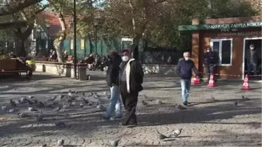 Son dakika haber | 65 yaş ve üstü vatandaşlar AA'nın 'Yılın Fotoğrafları' oylamasına katıldı