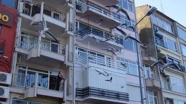 Sokağa çıkma kısıtlamasında martıları balkondan beslediler