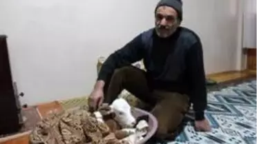 Son Dakika | Çiftçi aile erken doğan buzağıya kendi çocukları gibi bakıyor
