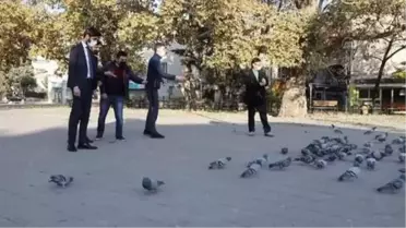 Çubuk'ta sağlık çalışanları sokak hayvanlarını besledi