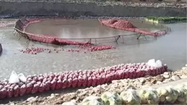 Vali Yılmaz, Kadirli'de tarım işçilerini ziyaret etti